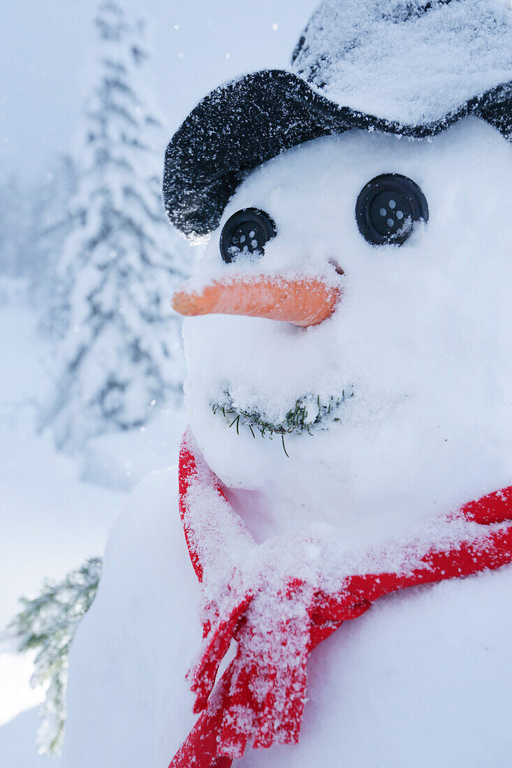 Schneemann, Kreuzbergpass, Südtirol, Italien