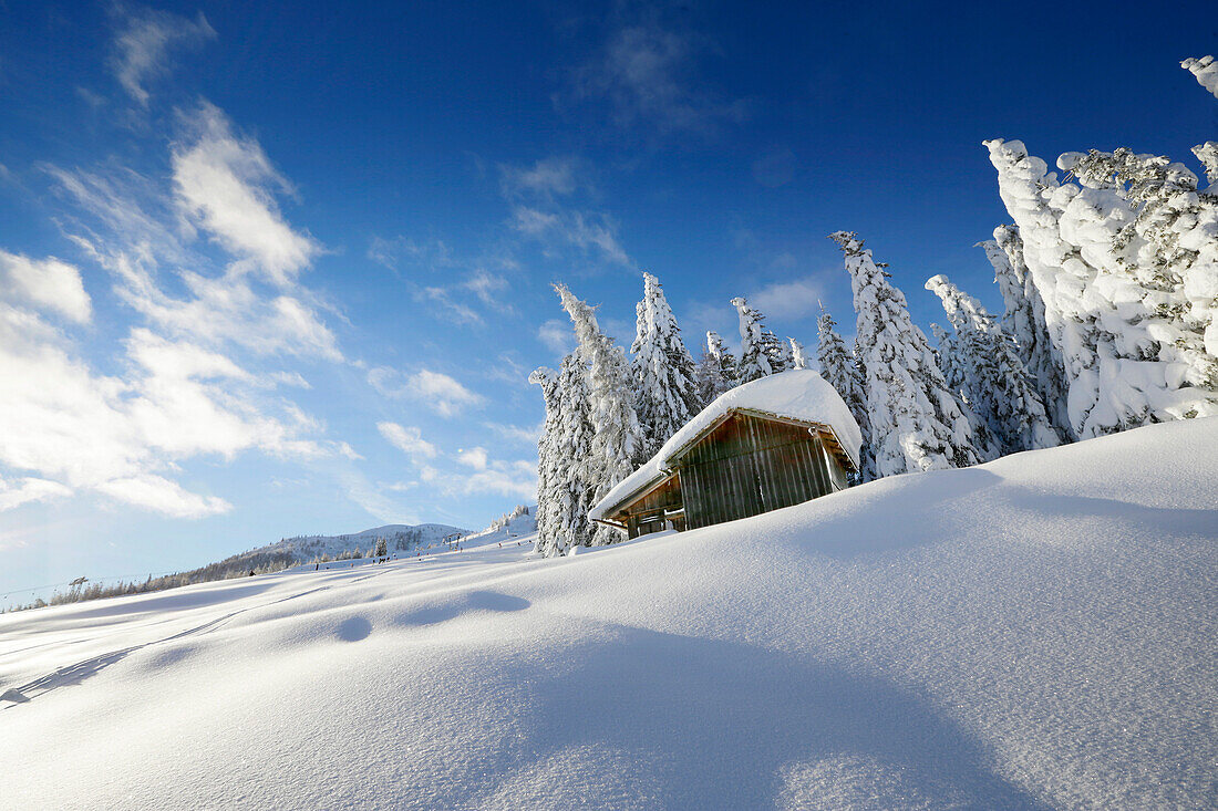 Snow-covered hay barn, Passo Monte Croce di Comelico, South Tyrol, Italy
