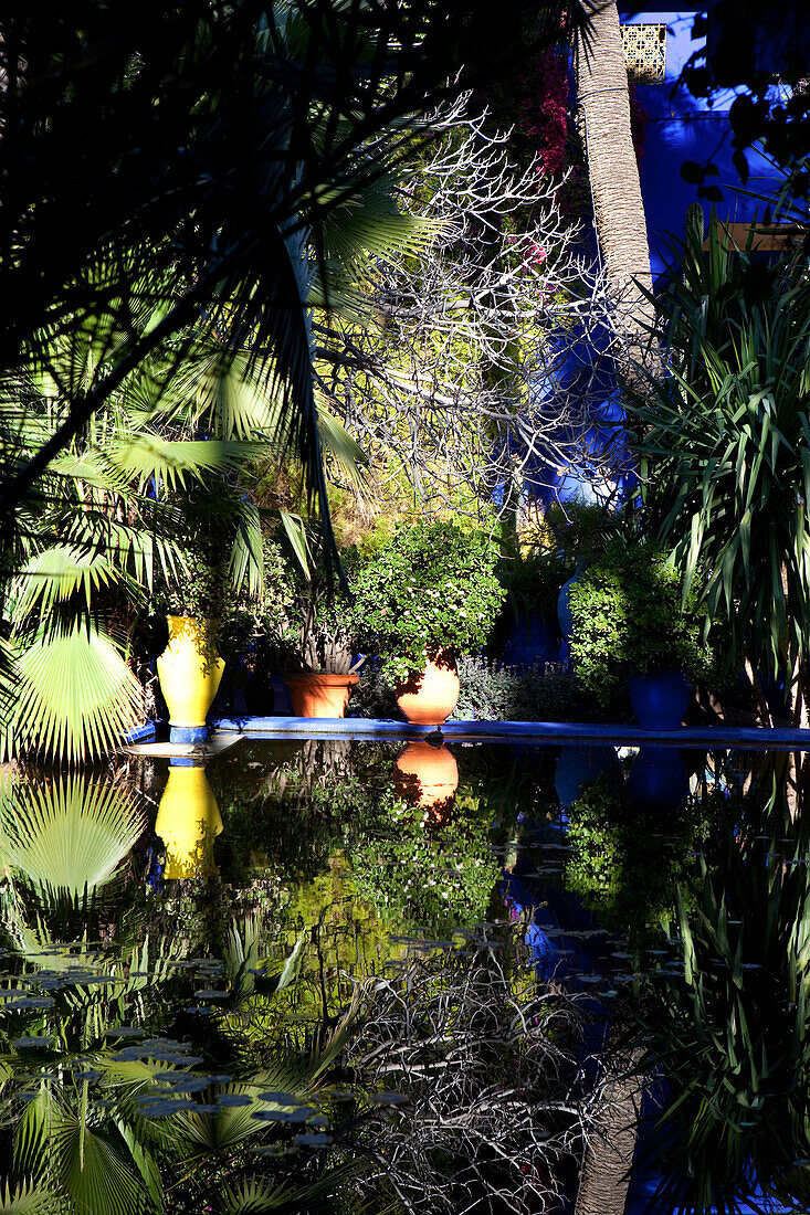 YSL's Garten, Jardin Majorelle, Marrakesch, Marokko