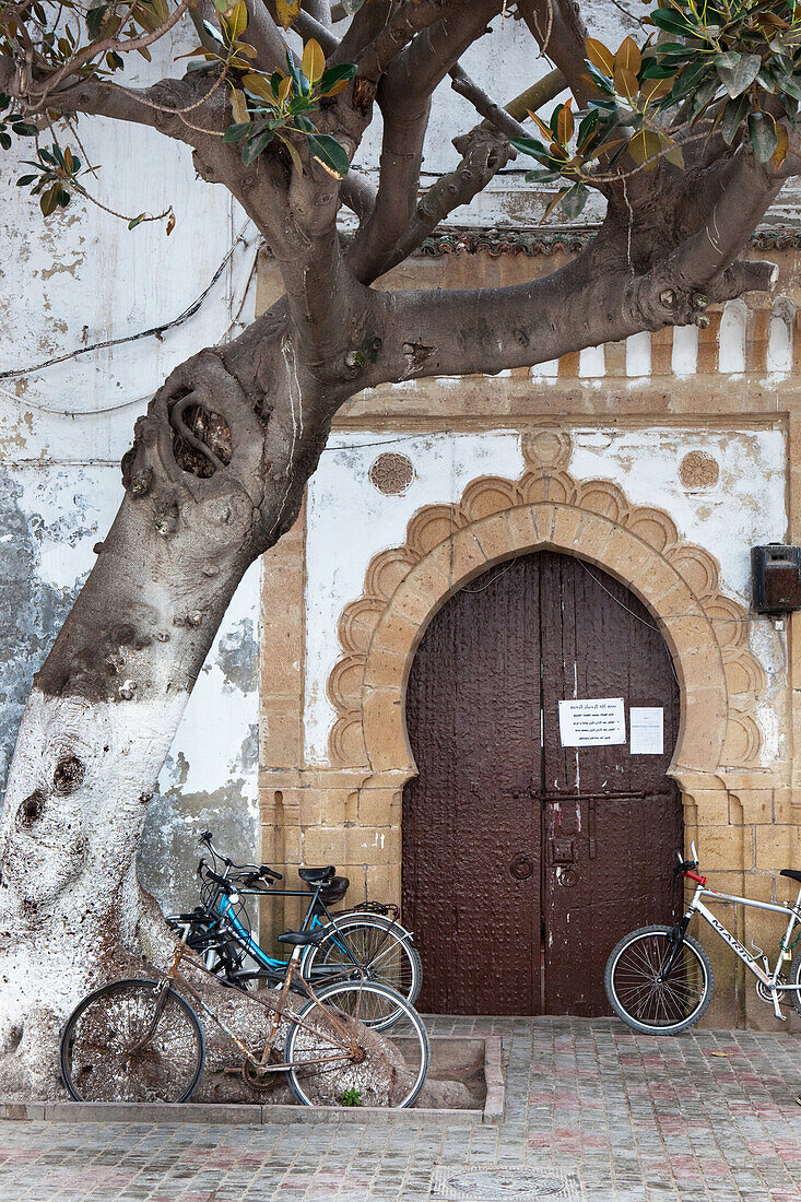 Fahrräder vor einem typisch marokkanischem Tor, Essaouira, Marokko