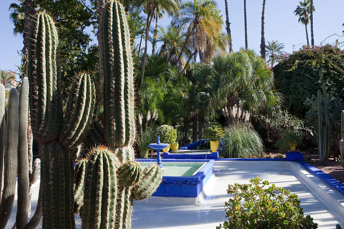 YSL's Garten, Jardin Majorelle, Marrakesch, Marokko