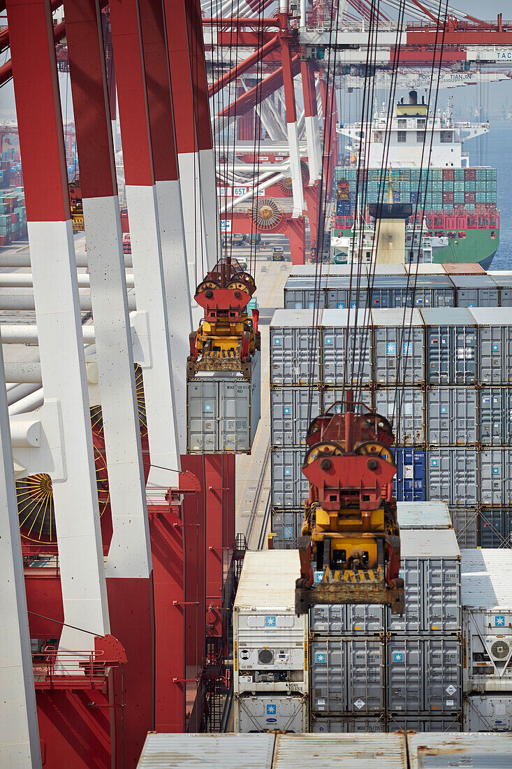 Containerschiff im Hafen, Containerhafen Tianjin, Tianjin, China