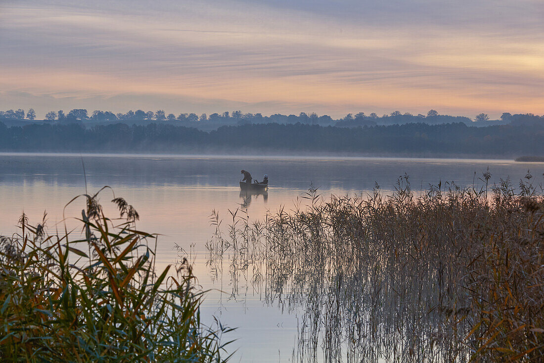 Fisherman retrieving nets, Breiter Luzin, Feldberger Seenlandschaft Nature Park, Mecklenburg Western Pommerania, Germany