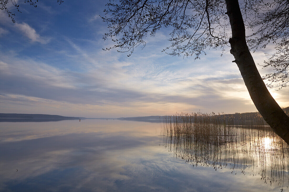Spiegelung im Tollensesee, Neubrandenburg, Mecklenburg-Vorpommern, Deutschland