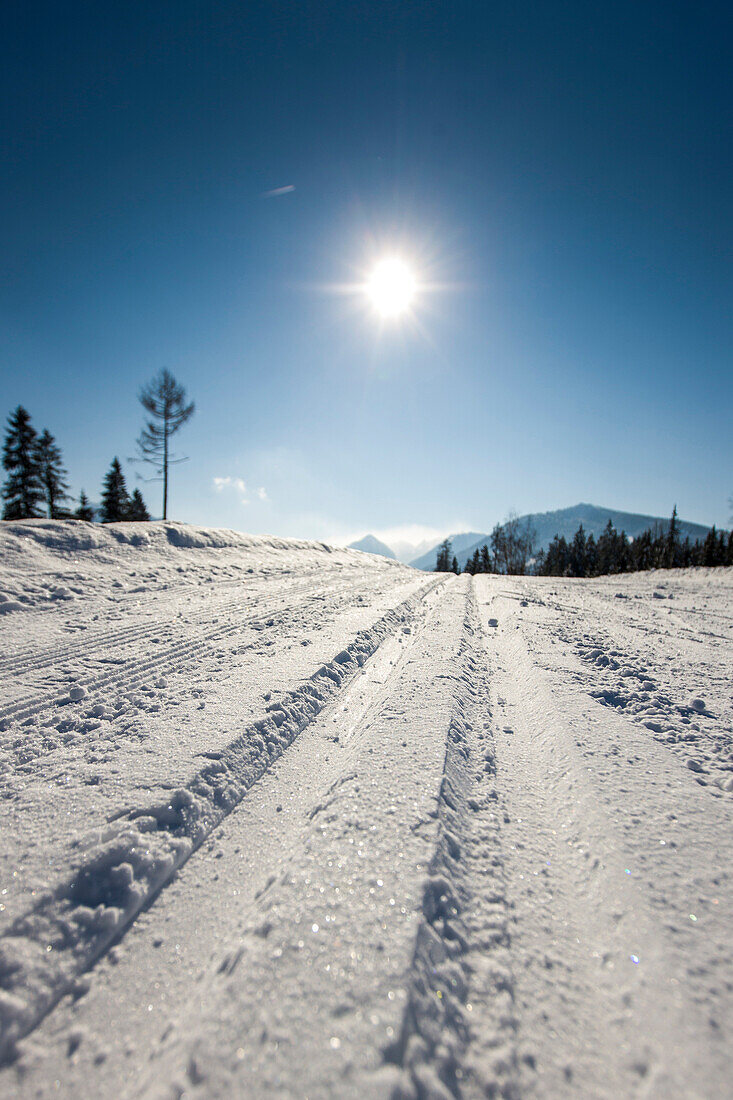 Cross country ski track, Styria, Austria