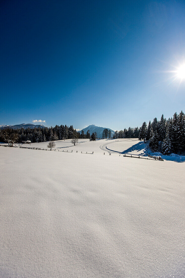 Winterlandschaft, Ramsau am Dachstein, Steiermark, Österreich