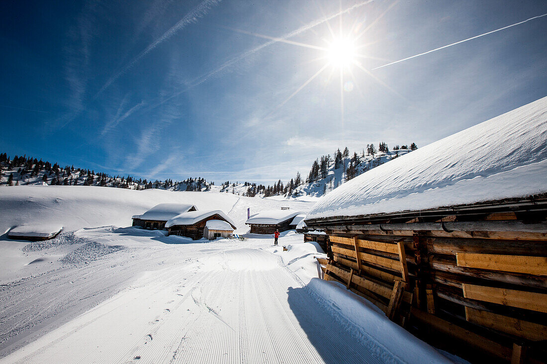 Snow-covered lodges, Alp, Salzburg, Austria