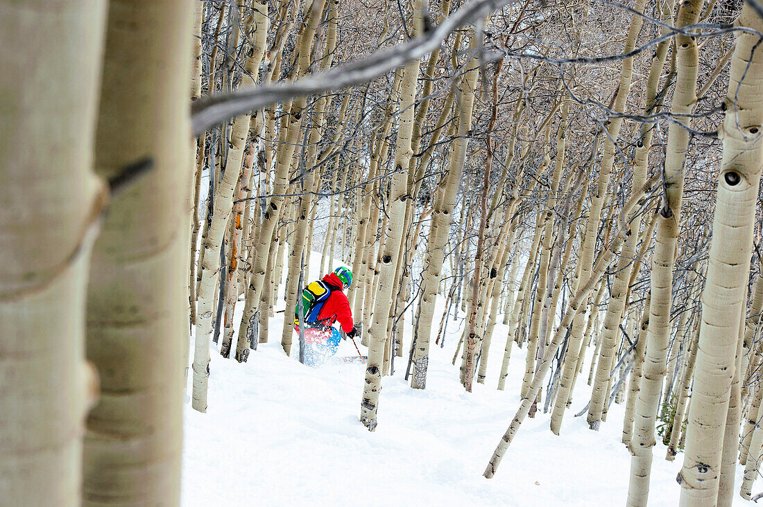 Tree-Skiing zwischen Espen, Aspen Highlands, Aspen, Colorado, USA