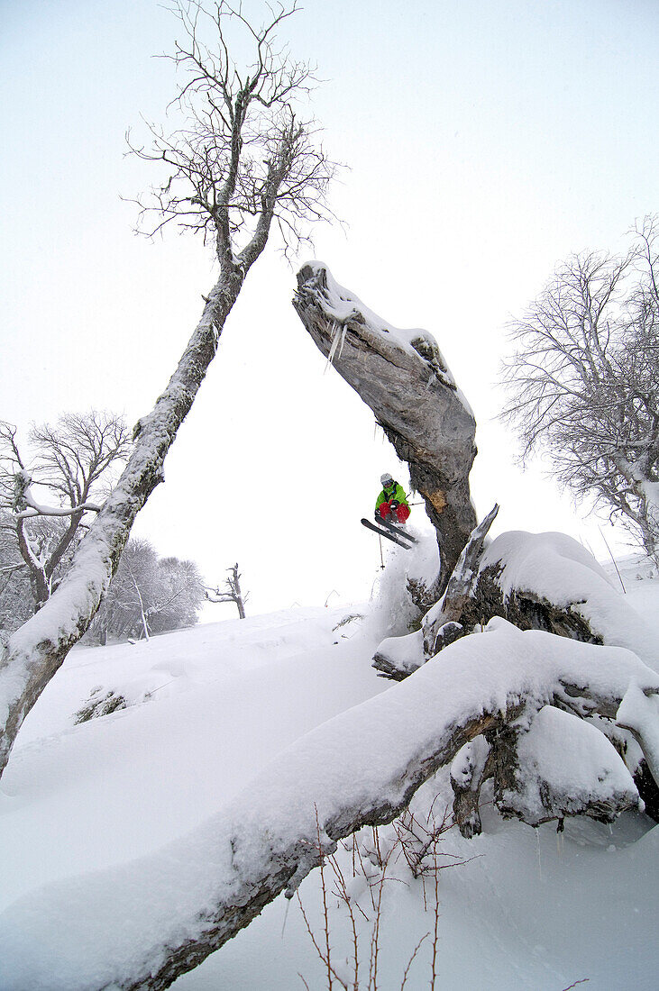 Skifahrer springt über einen Baumstamm, Nevados de Chillan, Anden, Region del Bio-Bio, Chile