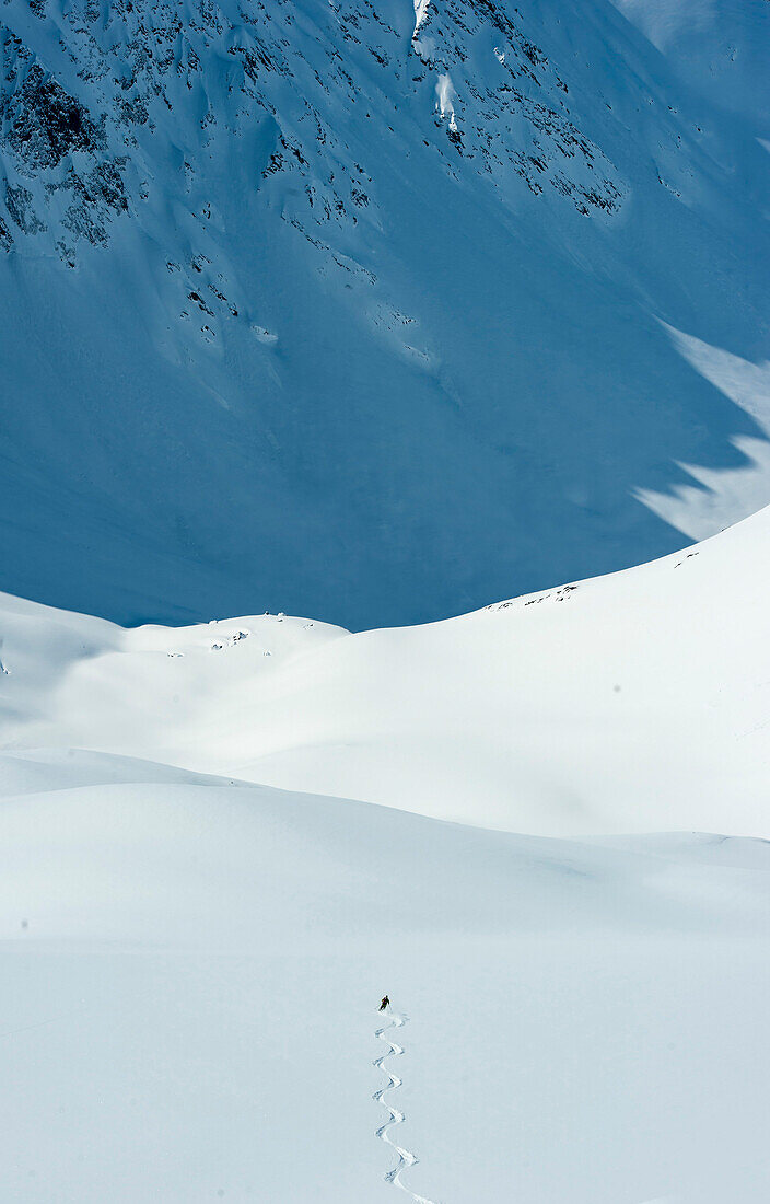 Skier downhill skiing in deep snow, Chugach Powder Guides, Girdwood, Alaska, USA