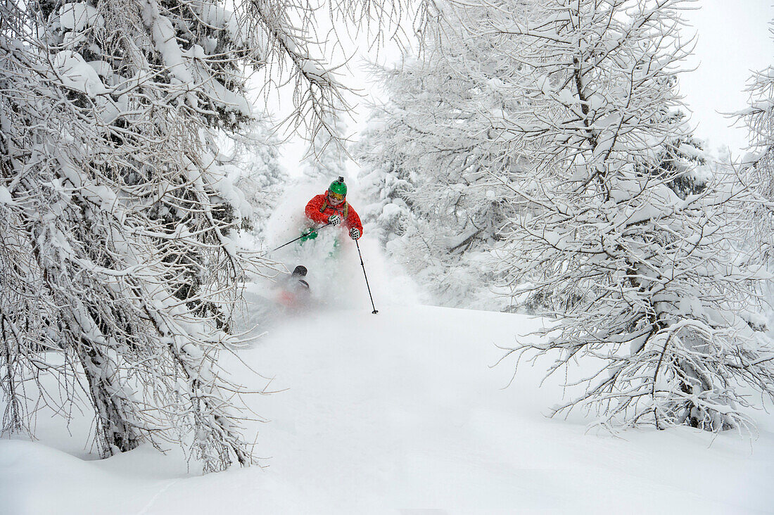 Skifahrer beim Treeskiing, Alpbachtal, Tirol, Östereich