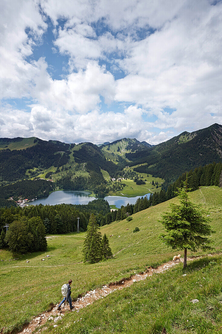 Hiking trail above the lake Spitzingsee, Bavaria, Germany