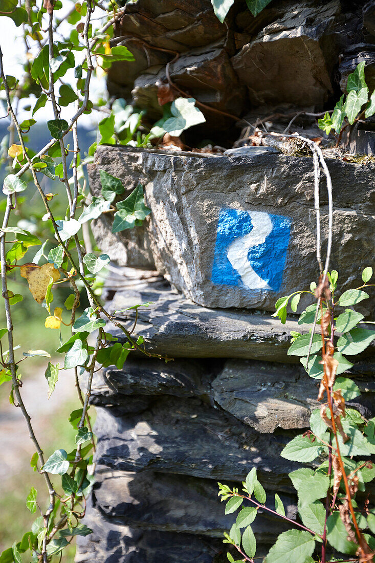 Markierung Rheinsteig auf Schieferplatten, Hasenberg, Sankt Goarshausen, Rheinland-Pfalz, Deutschland