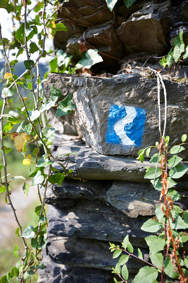 Rheinsteig trail marker, Hasenberg, Sankt Goarshausen, Rhineland-Palatinate, Germany