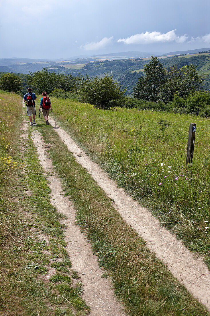Wanderer auf einem Feldweg über eine Trockenwiese, Rheinland-Pfalz, Deutschland