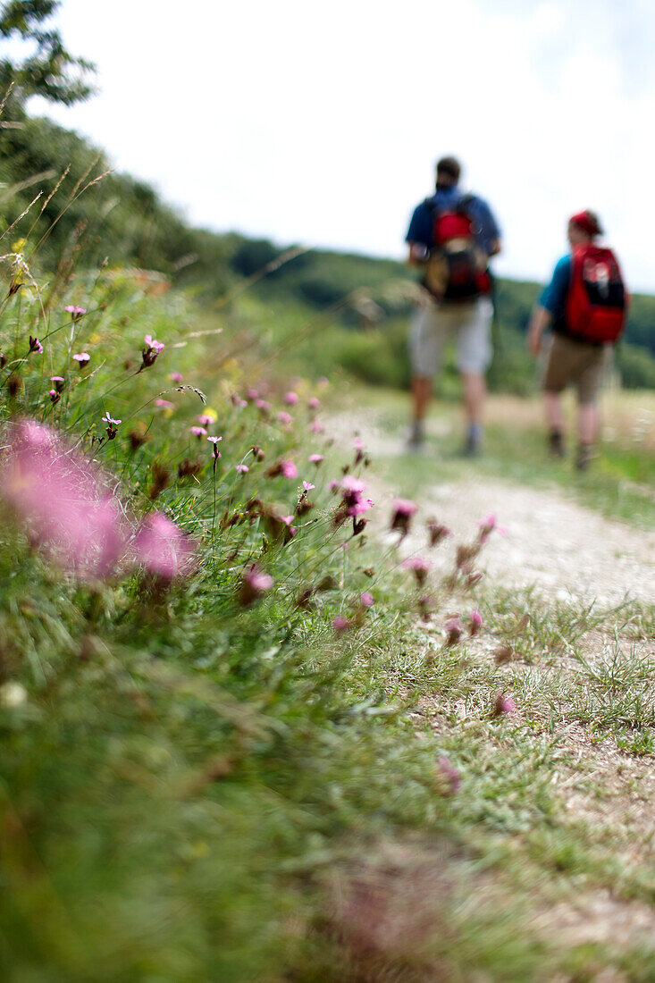 Hikers passing a path crossing a meadow, Rhineland-Palatinate, Germany