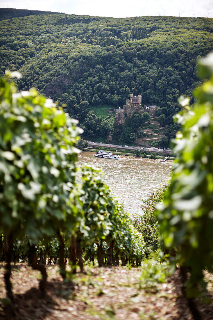 View over river Rhine to Rheinstein Castle, Hesse, Germany