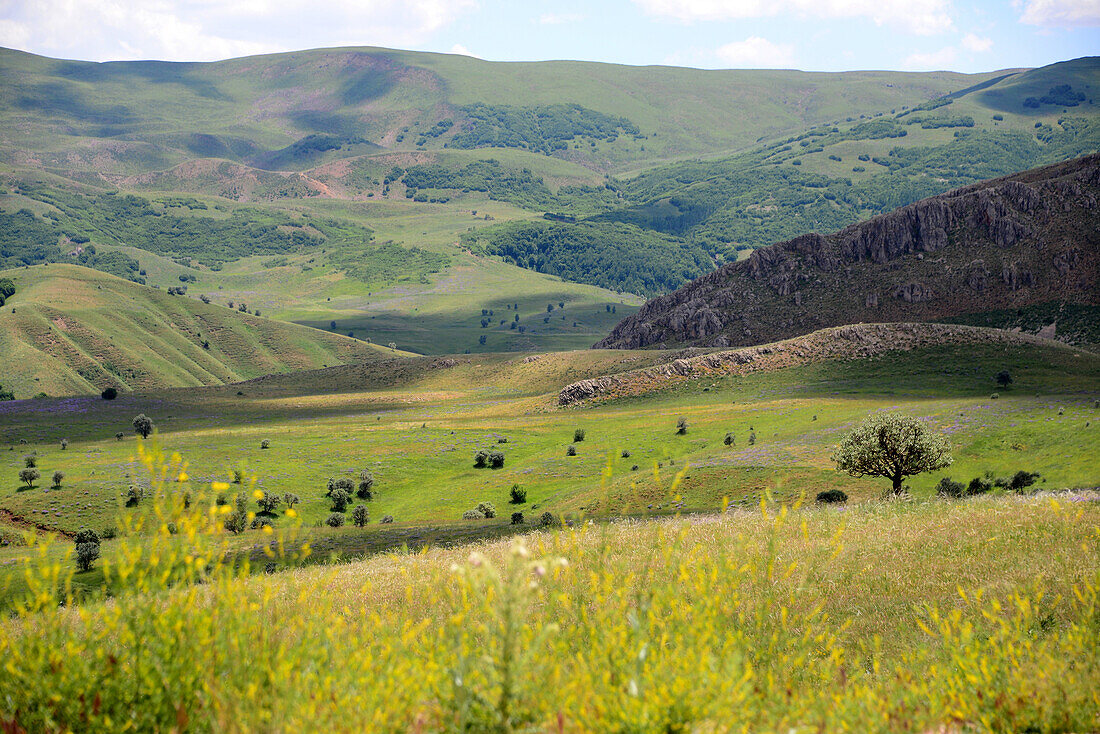 Landscape south of Erzurum, east Anatolia, East Turkey, Turkey