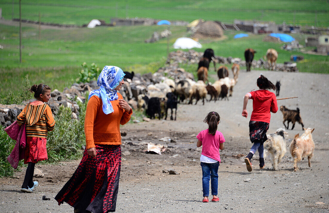 in einem Dorf bei Dogubayazit am Ararat, Kurdengebiet, Ost-Anatolien, Osttürkei, Türkei