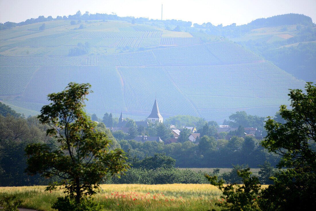 Landscape near Kanzem on the river Saar, Rhineland-Palatinate, Germany