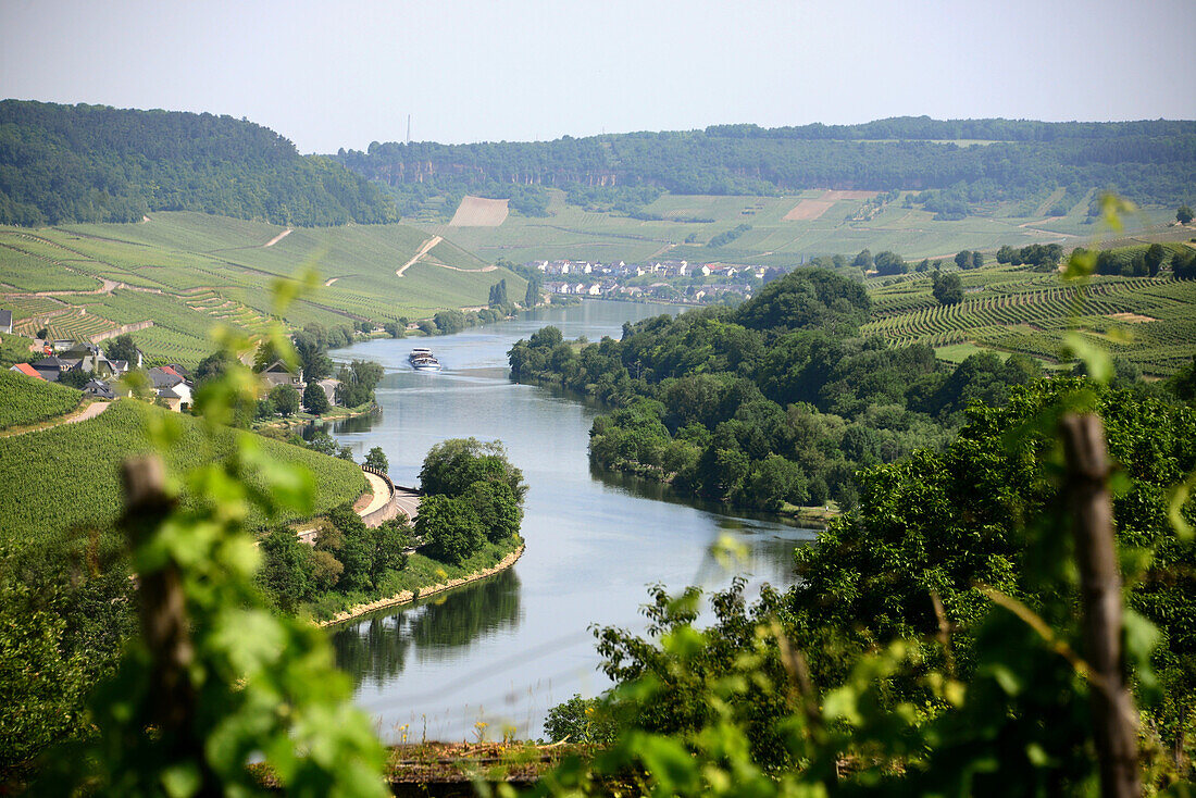 Landscape near Wincheringen on the river Mosel, Luxembourg to the left, Hunsruck, Rhineland-Palatinate, Germany