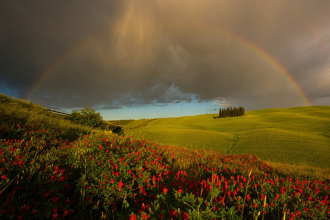 Typical tuscany's landscape, with cypresses and hills, under a stormy sky with a rainbow, Tuscany