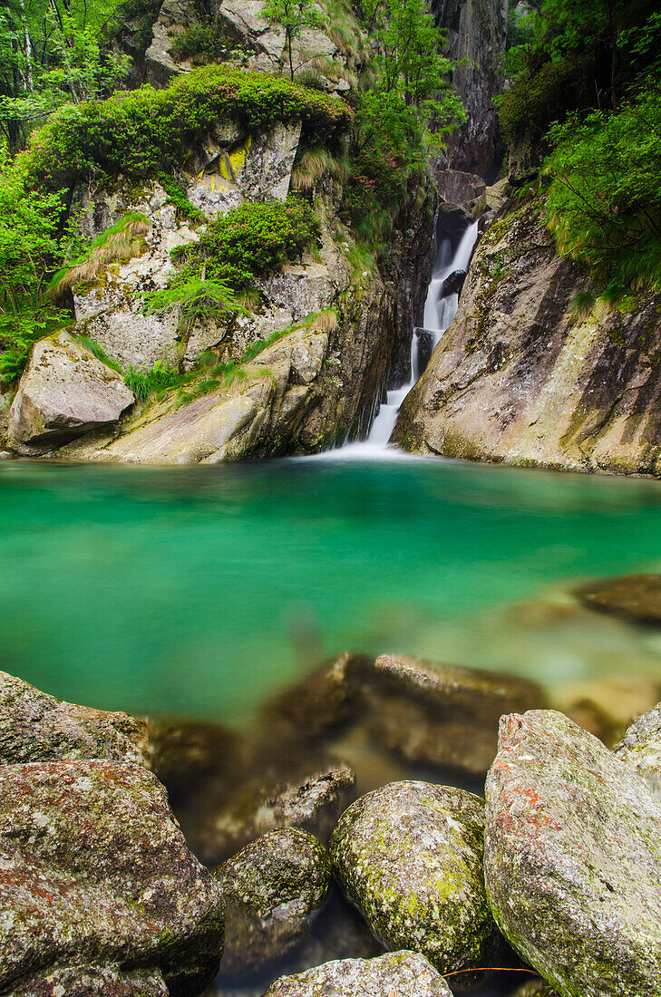 A little waterfall come in an inlet of the alpine's river, under steep cliffs, Soana Valley, Gran Paradiso National Park, Piedmont