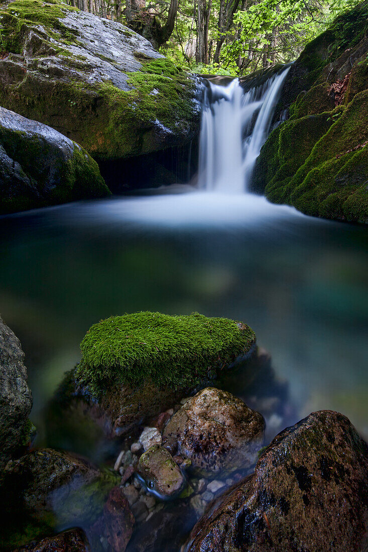 Waterfall in the forest in the Pesio Valley