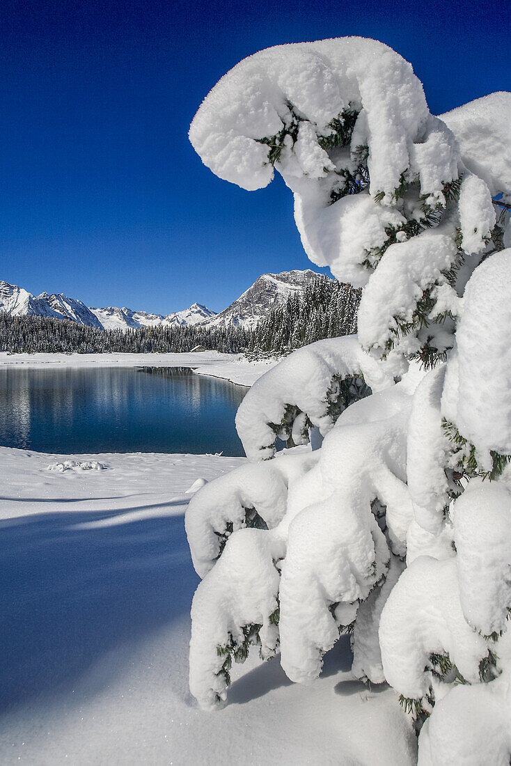 Heavy snow on the landscape of an alpine lake, Valmalenco, Valtellina, Lombardy