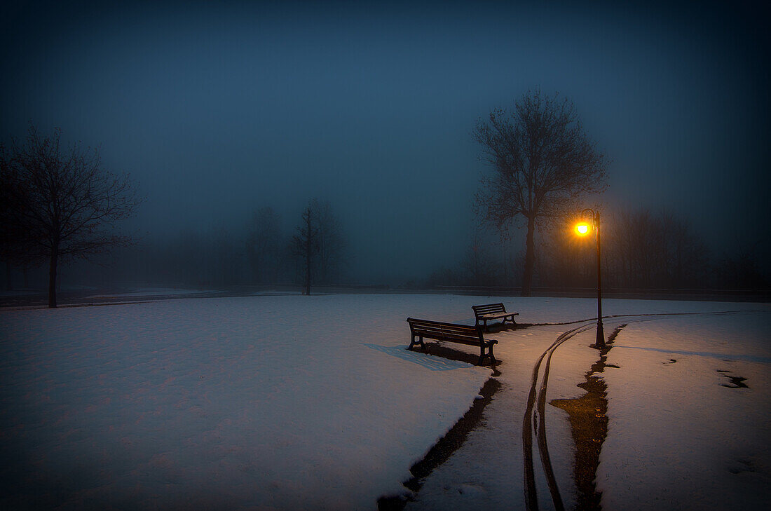 A faint light illuminates the garden deep in the fog