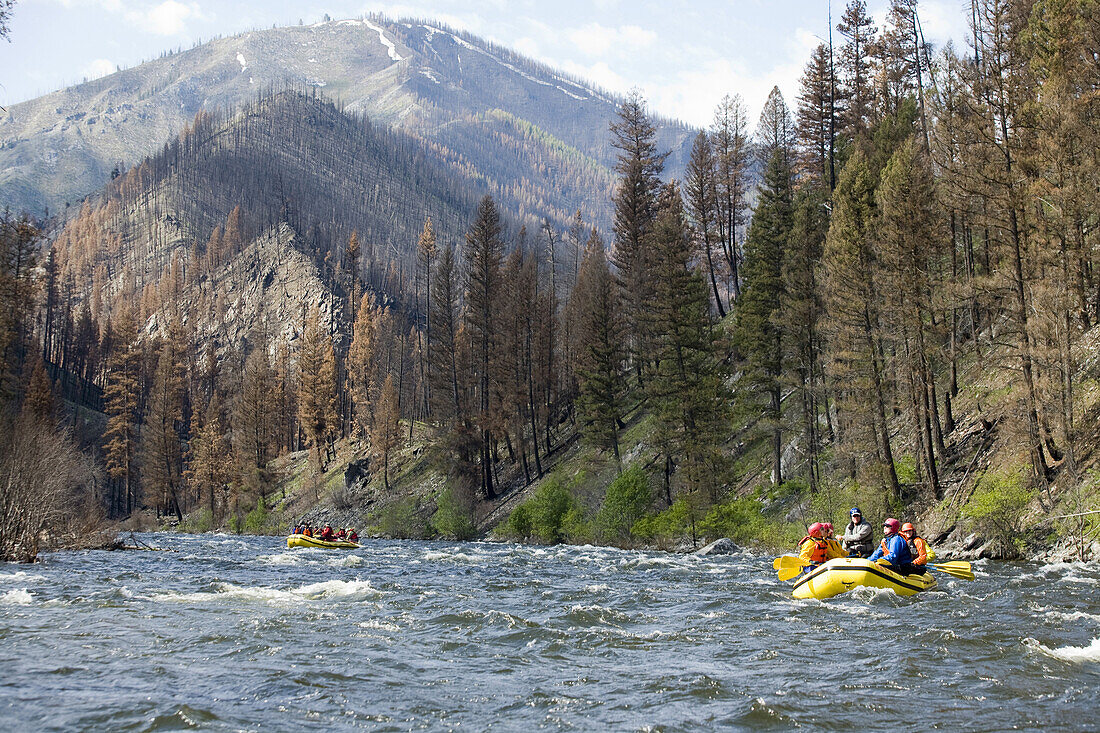 Rafting the Middle Fork of the Salmon River, ID.