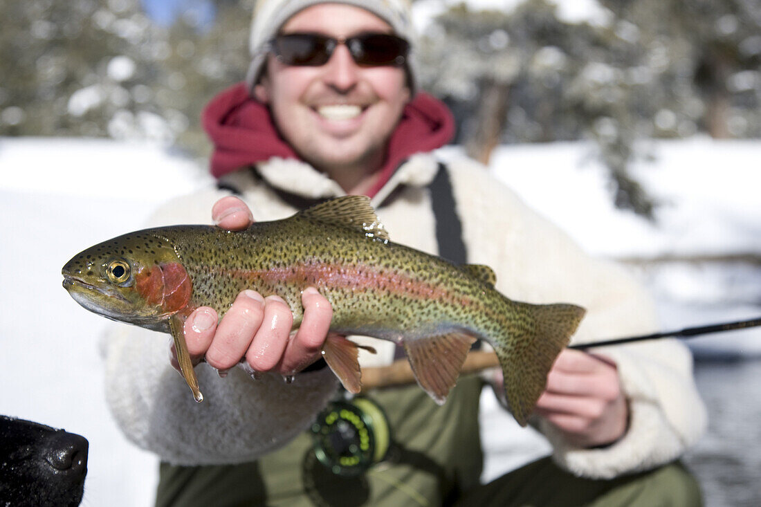 A fisherman smiles while holding up a beautiful rainbow trout caught on the Madison River, Montana.