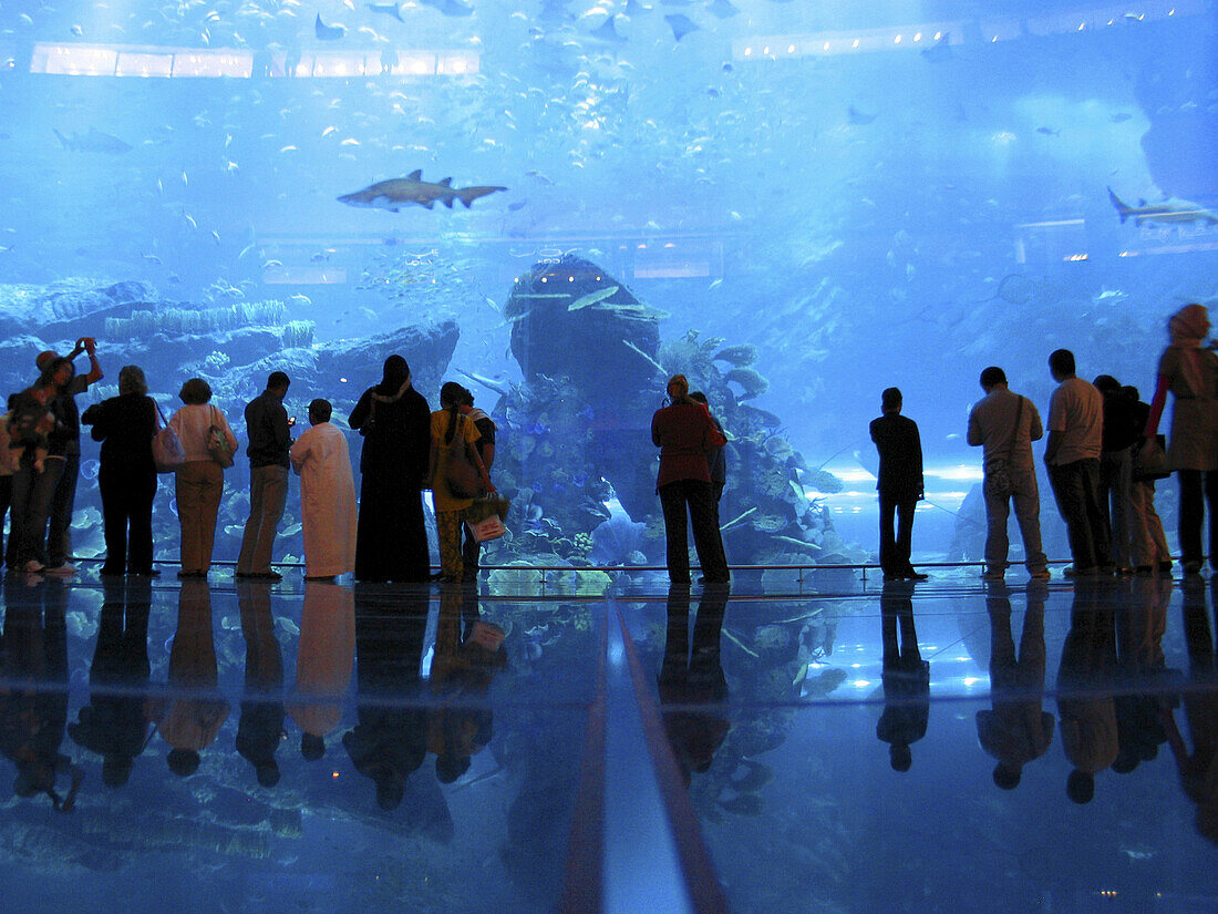 Biggest aquarium in the world at the Dubai Aquarium and Discovery Center.