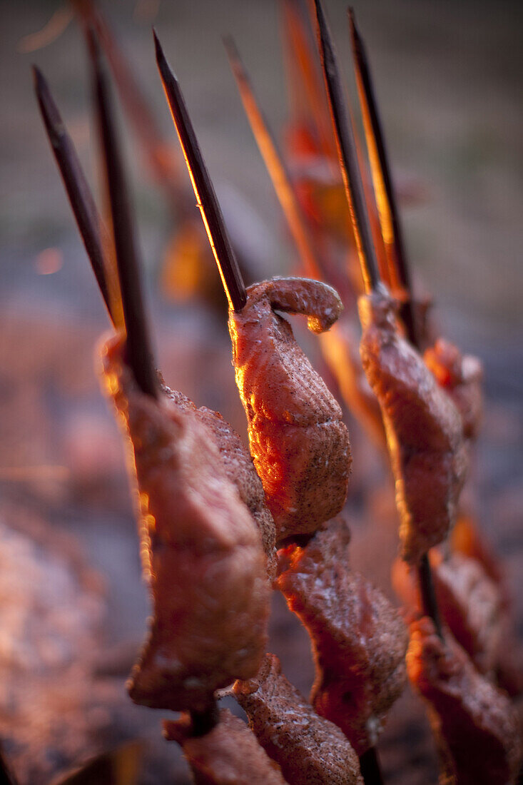 Salmon skewered on redwood stakes cooks on open fire along the Klamath River.