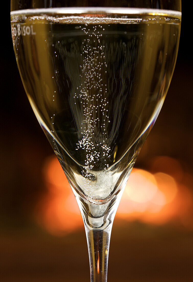 Bubbles characteristically rise to the surface from the bottom of the glass for Bisol prosecco.