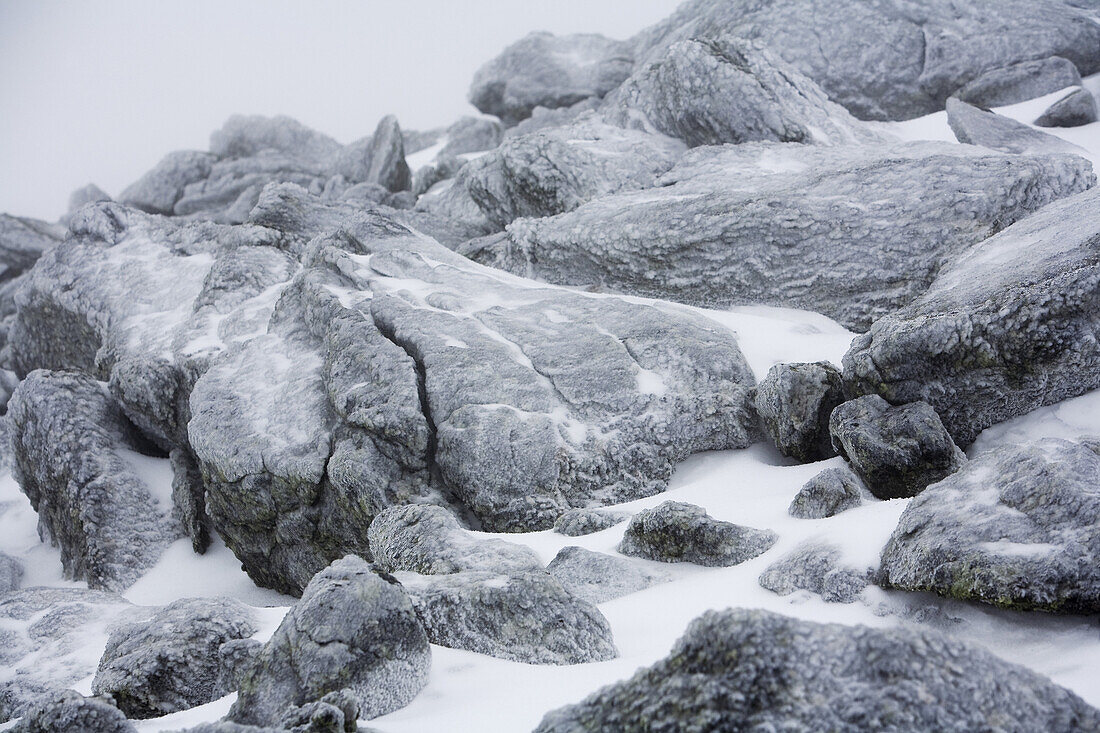 Ice encrusted boulders on the summit cone of Mt. Washington.