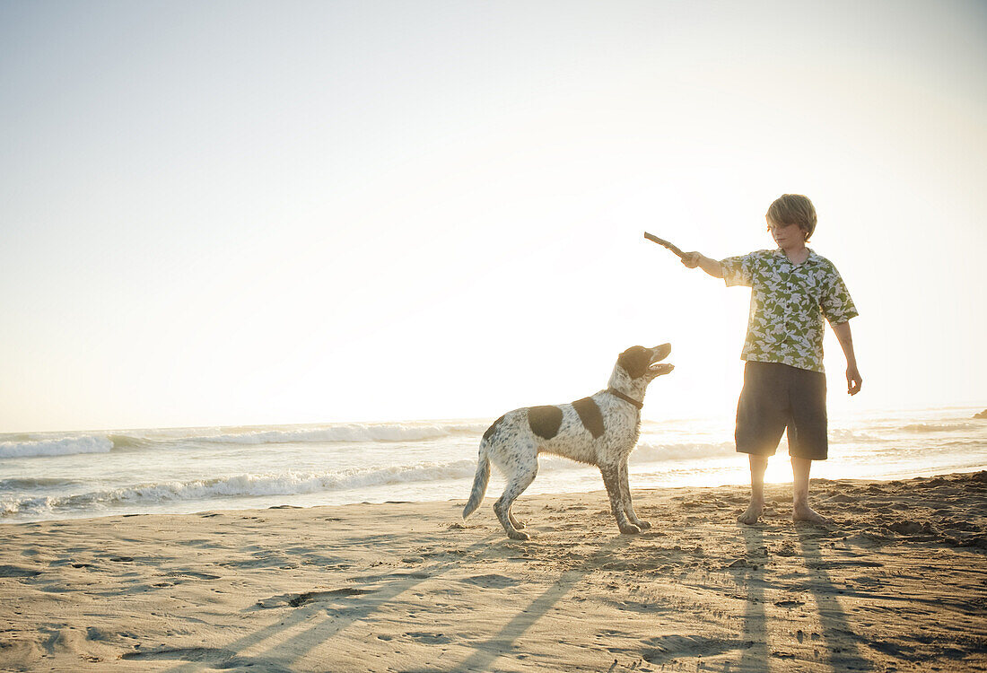 Aidan Steele, age 12, plays fetch with his dog Mancha Spot, at the end of the day on a quiet beach in Troncones, Mexico on April 2, 2009. hi-key