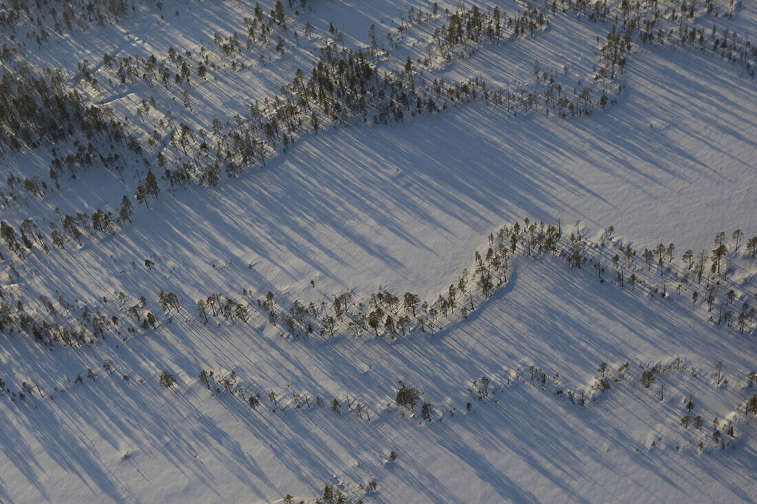 Aerial of the northern aapa mire or fen in  Oulanka National Park, Finland.
