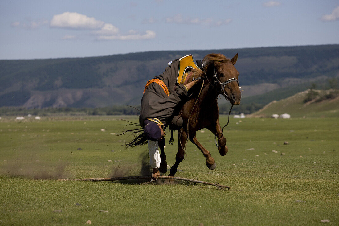 A Mongol cowboy participates in Snatching uurgu lasso, during the annual Naadam Festival. Bunkhan, Arkhangai, Mongolia.