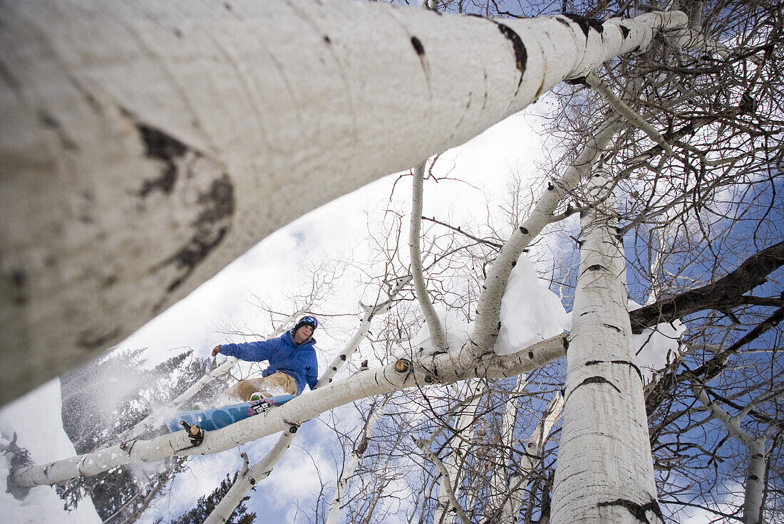 Making something of nothing is the essence of creation.  Professional snowboarder Colin Spencer rides his snowboard up a toppled aspen tree in Vail, Colorado 2009.