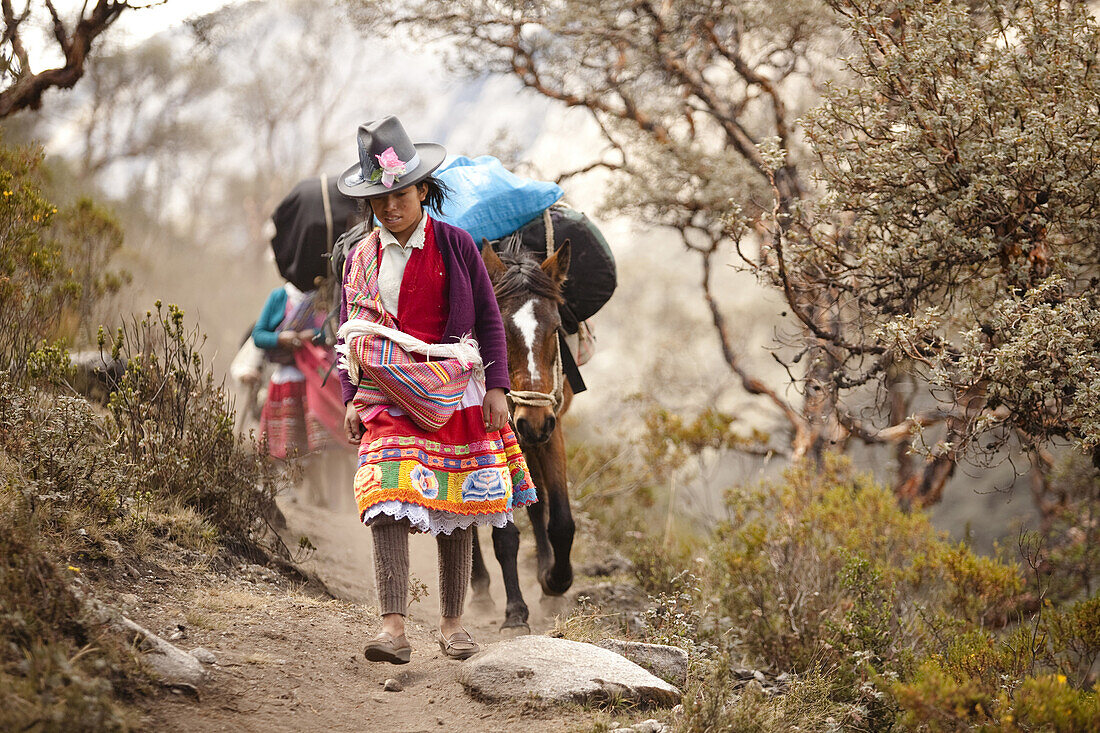 a young Peruvian girl typically dressed carries climbing equipment on horses on a trail at Quebrada Ishinca, Cordillera Blanca, Peru.