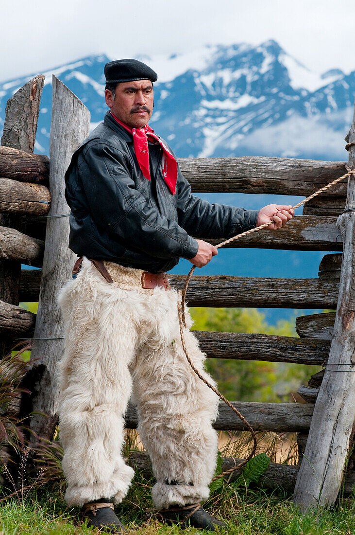 The last remaining Goucho and his family herd the sheep and cattle that feed the staff at the Estancia Chacabuco, this estancia, previously one of the largest in Chilean Patagonia is now becoming the new Patagonia National Park. The process of creating th