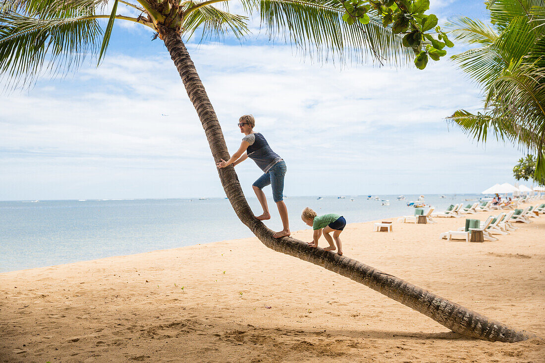 Mutter und Sohn klettern auf Kokospalme, Strand, Kleinkind, 3 Jahre alter Junge, Palme, Elternzeit in Asien, Europäer, Deutsche, Westler, Familie, MR, Sanur, Bali, Indonesien