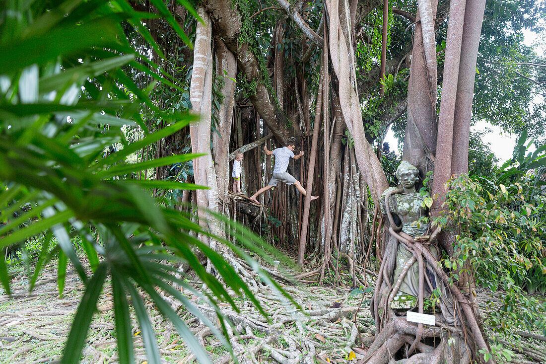 Banyan tree, sculpture, Balinese temple dancer, father and son climbing in the tree, garden of the art museum, Museum Puri Lukisan, tropical vegetation, boy 3 years, jungle, western family, Germans, family travel in Asia, parental leave, MR, Ubud, Bali, I