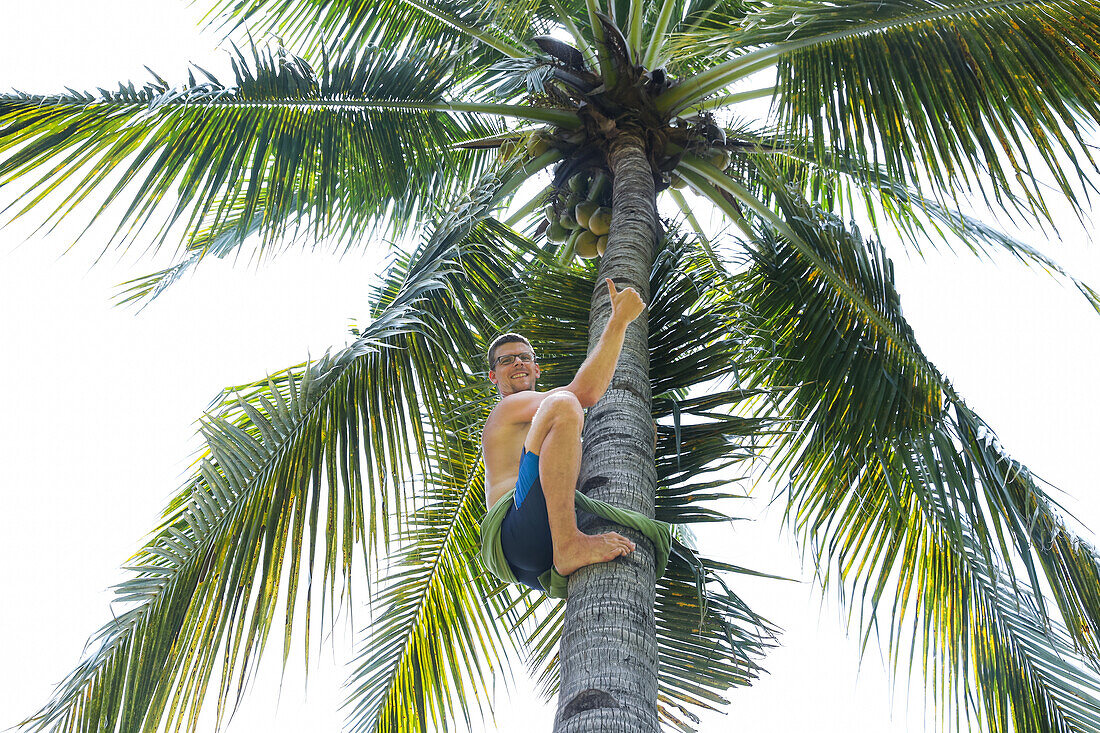 Man climbing on coconut tree, tourist, palm, thumbs up, family travel in Asia, parental leave, German, European, MR, Gili Air, Gili Inseln, Lombok, Indonesia