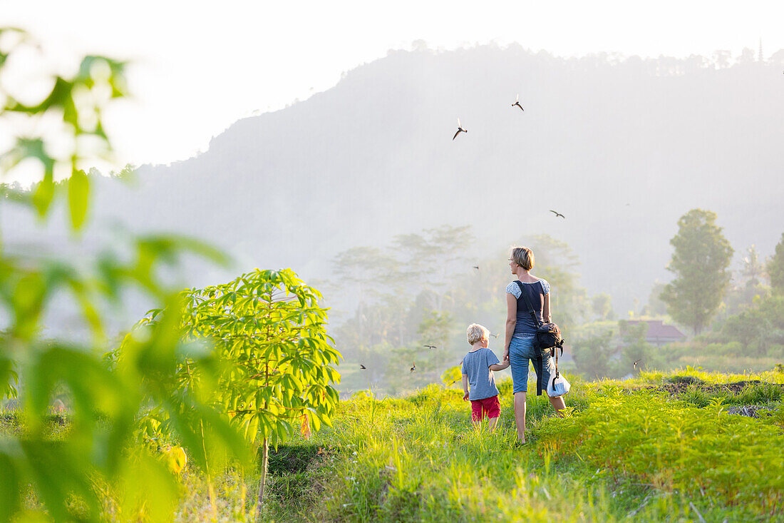 Mother and son walking hand in hand over field, boy 3 years old, family on holiday, parental leave, Sidemen, Bali, Indonesia