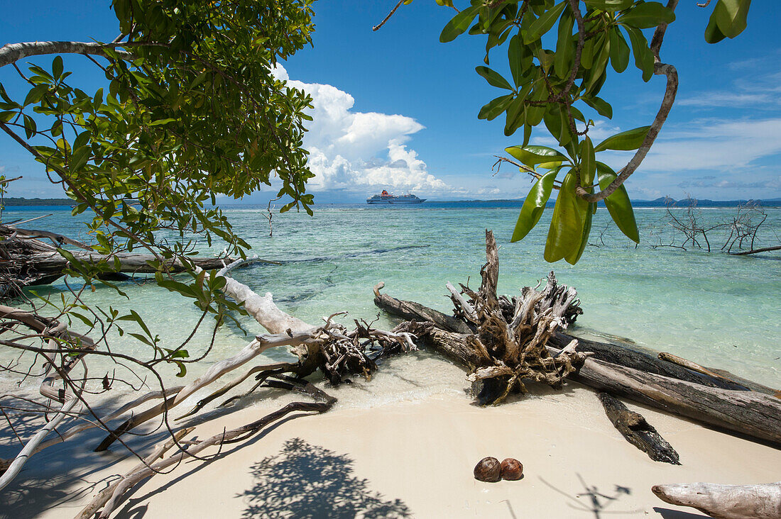 Treibholz an einem tropischen Strand mit Expeditions-Kreuzfahrtschiff MS Hanseatic (Hapag-Lloyd Kreuzfahrten) im Hintergrund, Insel Onua, Makira Provinz, Salomonen, Südpazifik