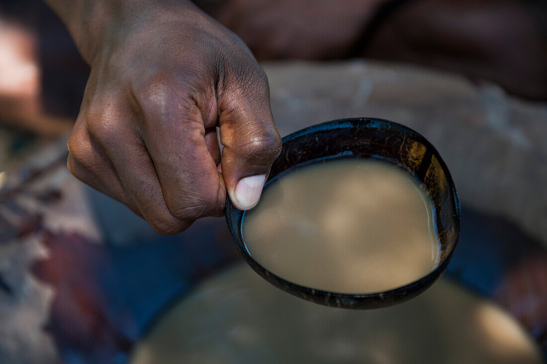 Hand holding an open coconut shell with kava during a Kava drinking ceremony in the village, Malolo Lailai island, Mamanuca Islands, Fiji, South Pacific