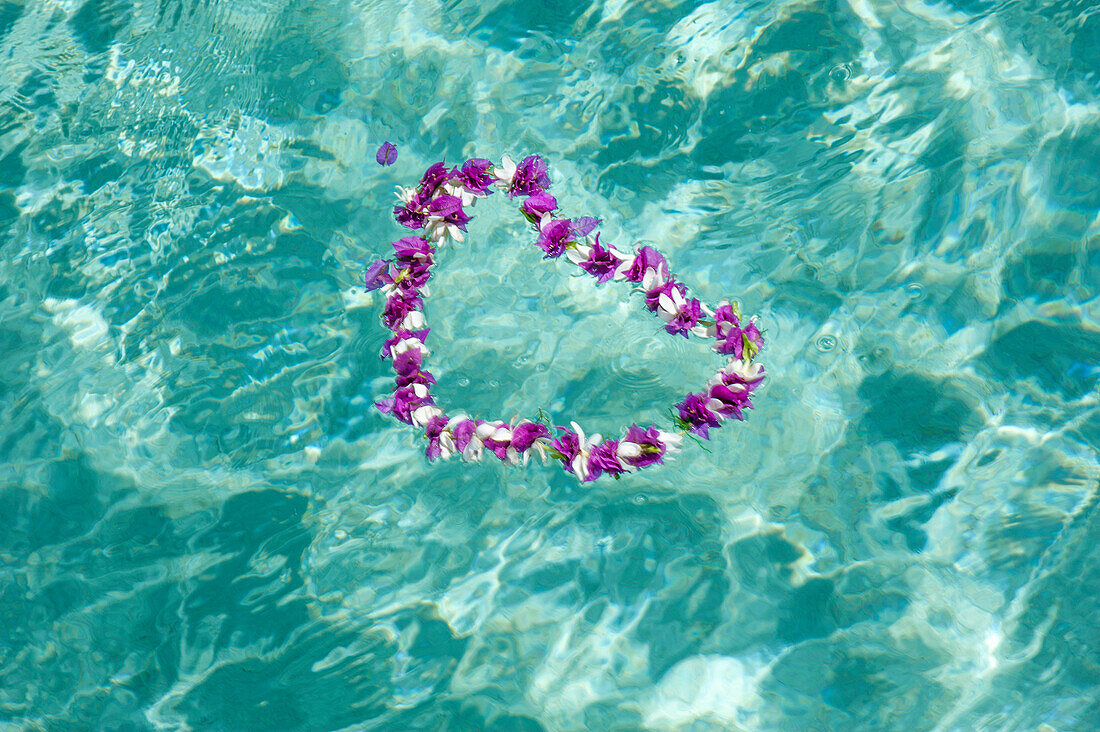 A lei of bougainvillea flowers floating in crystal clear water in Aitutaki Lagoon, One Foot Island, Aitutaki Island, Cook Islands, South Pacific
