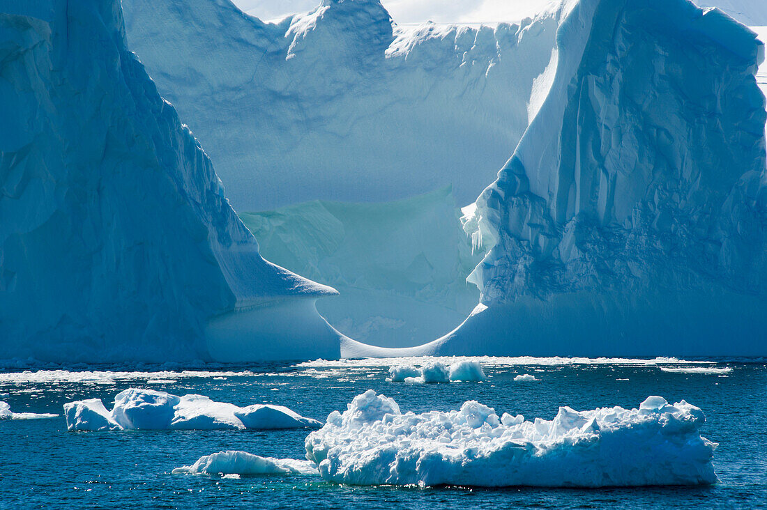 Icebergs and ice floes near Rothera Station, Rothera Point, Adelaide Island, Antarctica